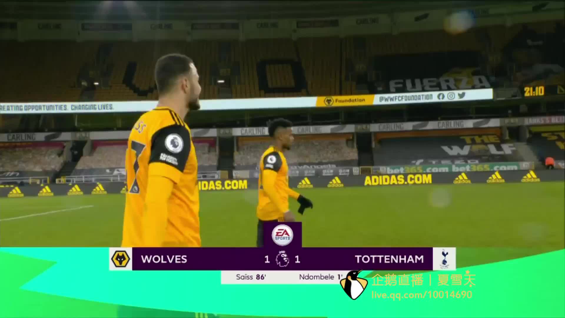 新转会球员 新转会球员